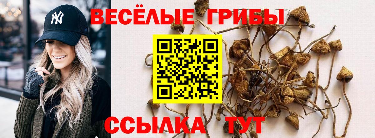 Галлюциногенные грибы мухоморы  Галлюциногенные грибы Psilocybe  Вход с VPN  Соликамск 